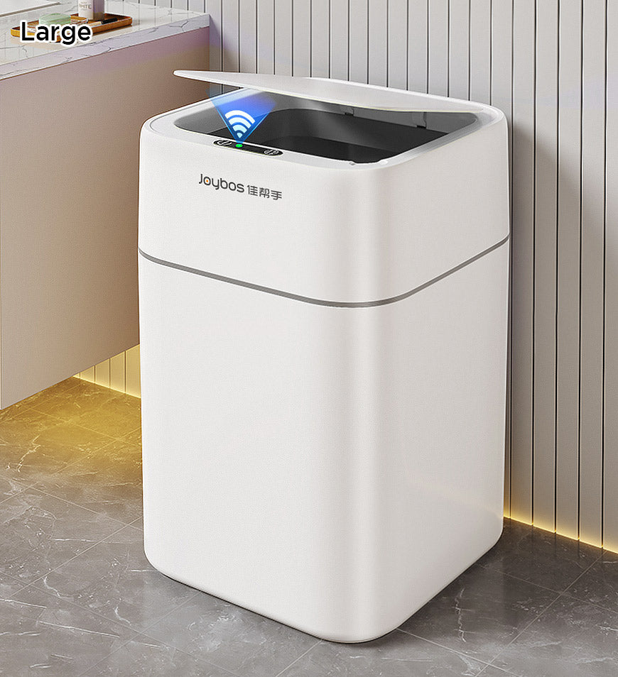 10-Large.jpg?v=1736227877&